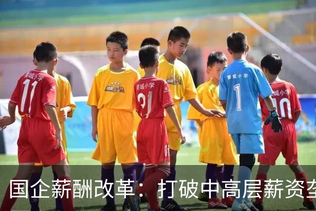 国企薪酬改革：打破中高层薪资垄断，维护公平分配